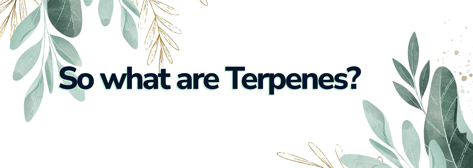 Buy Terpenes & Topicals  - Wick and Wire Co, Melbourne Australia